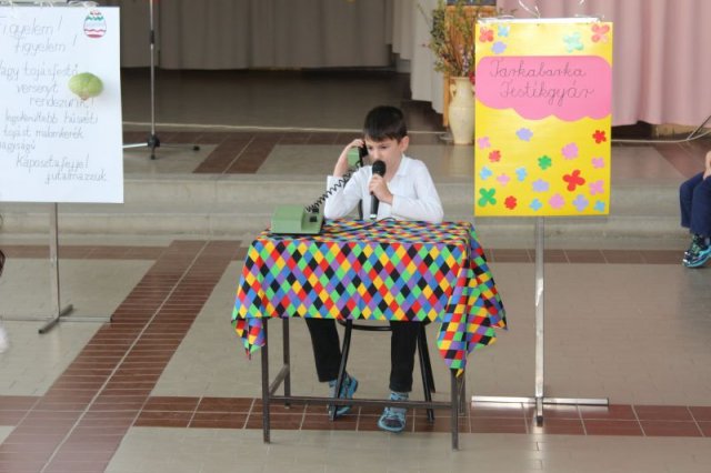 Iskolai Nyuszi Party