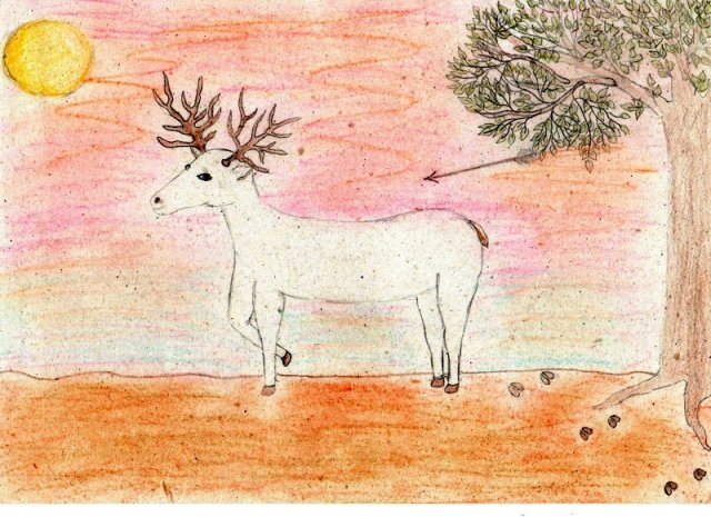 Mike Dóra 6.a 13 éves